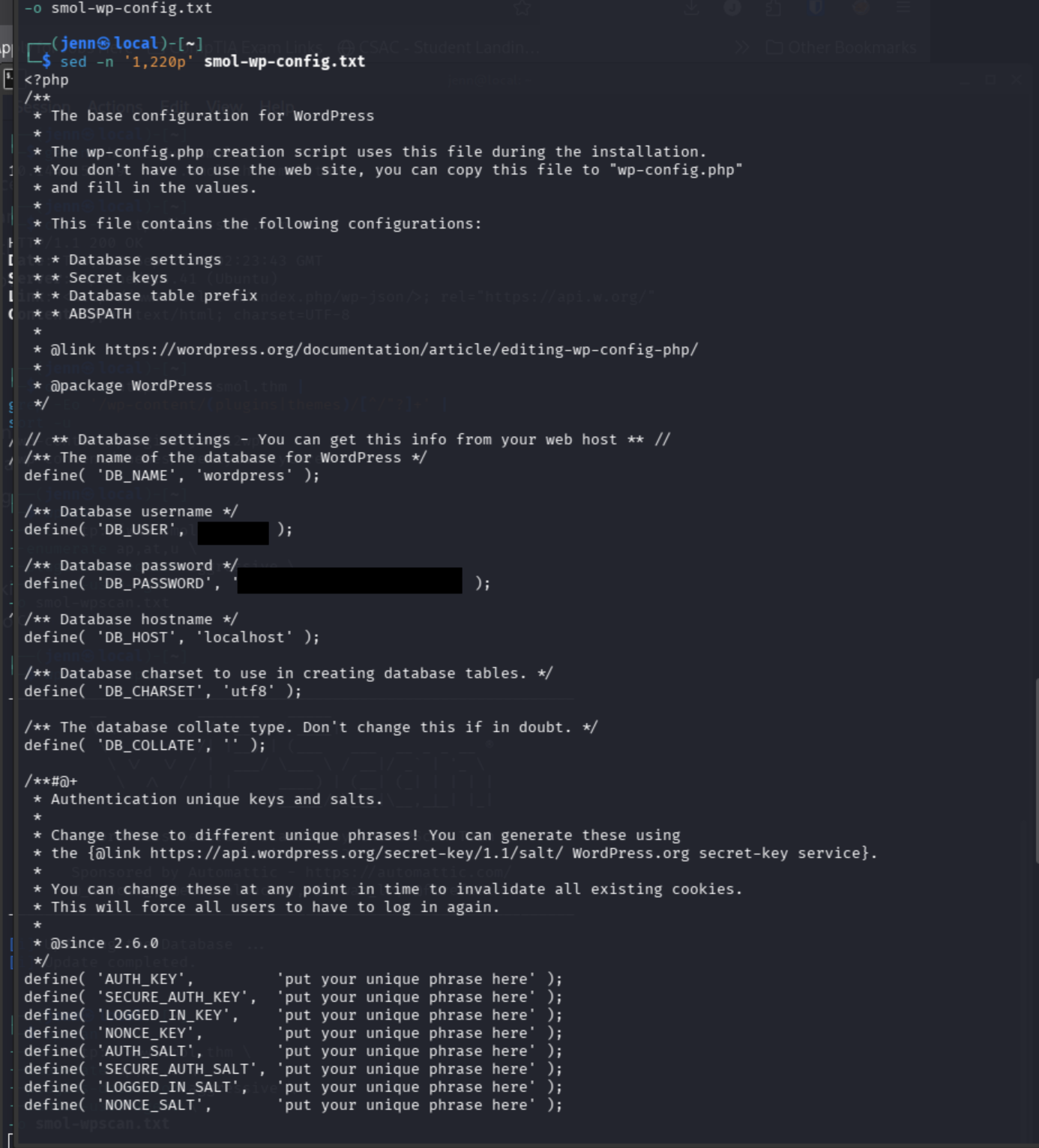 WordPress configuration recovered through JSmol2WP with the database password redacted
